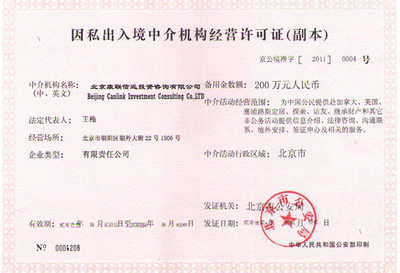 淺析行業中介組織特征及其在數字政務中的應用——以《天津市網絡超市行政許可中介服務管理辦法》為例